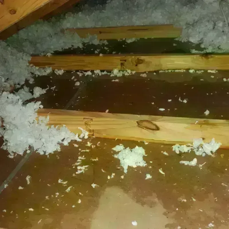 Best Attic Water Damage Service in Richland, PA